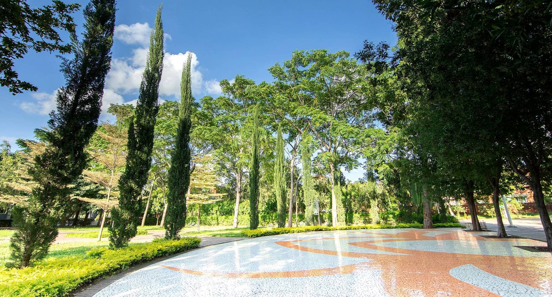 An avenue of cypress either side of a long reflecting pool, with patterned paving in the foreground.