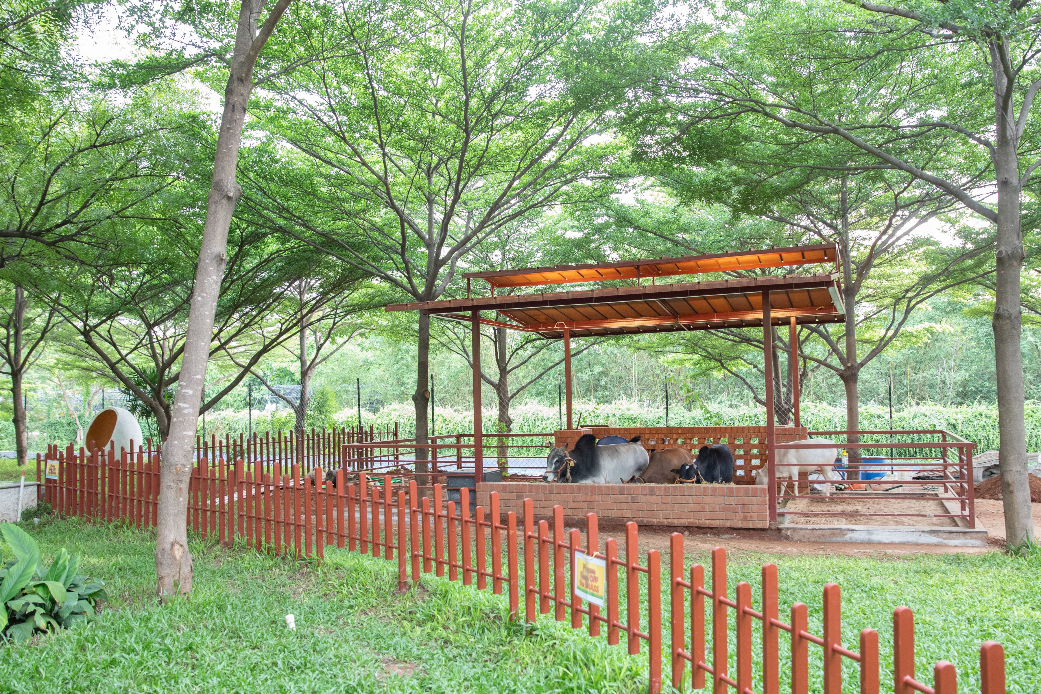 A circular paved garden at Babuji Vanam, brick-edged beds and young palms around it.