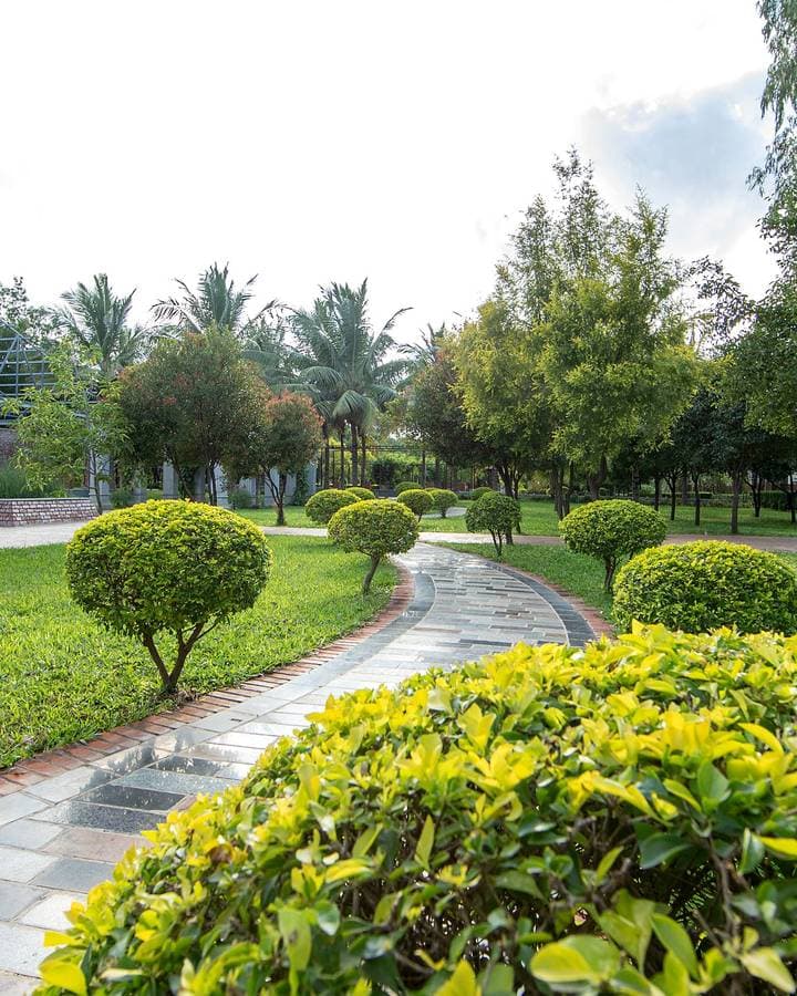 A garden path curving away between clipped hedges and mown lawn, trees along the far edge.