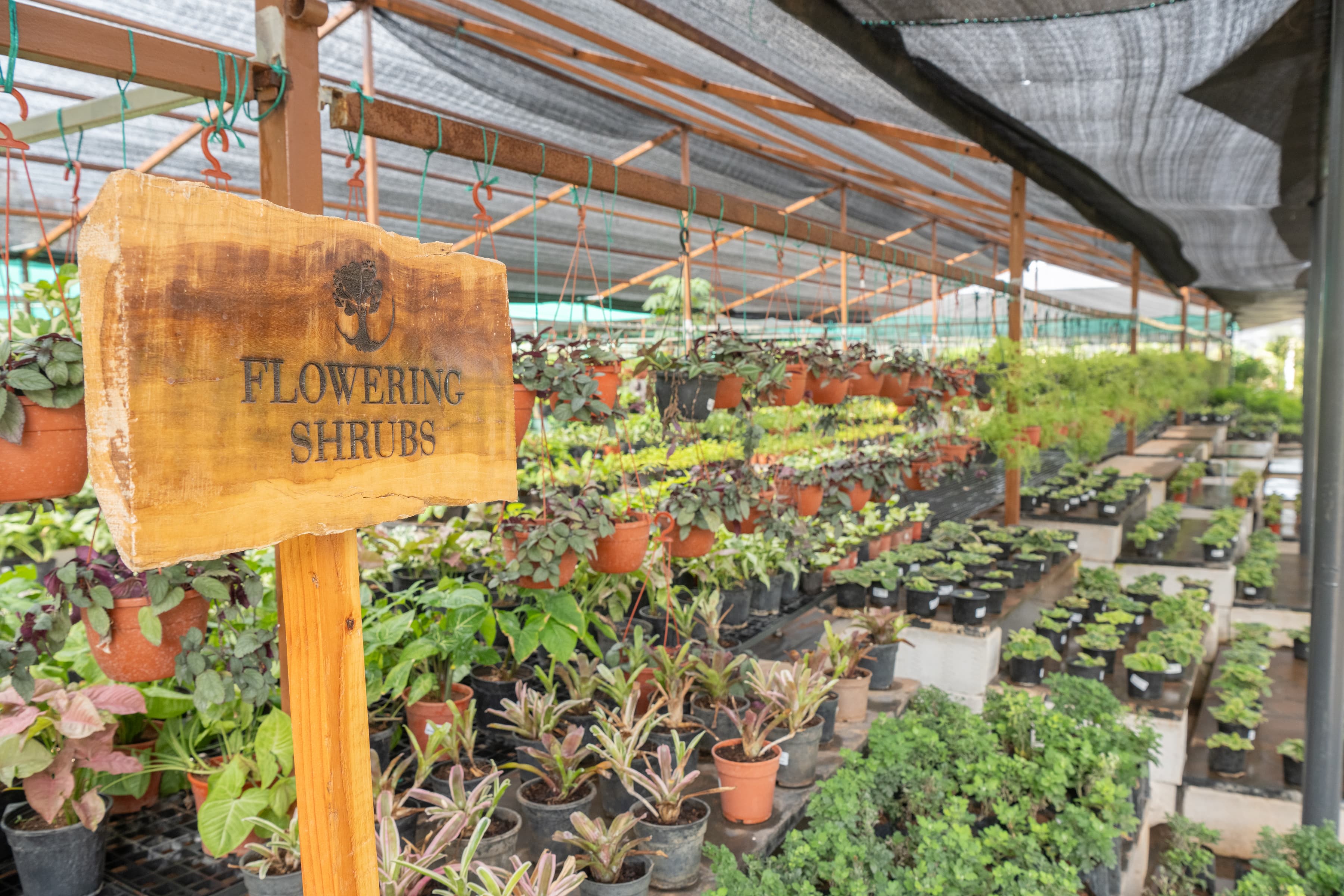 The Green Nurseries
